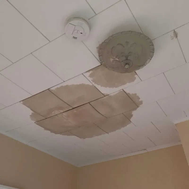 Ceiling Water Damage Repair in Quantico Station, VA
