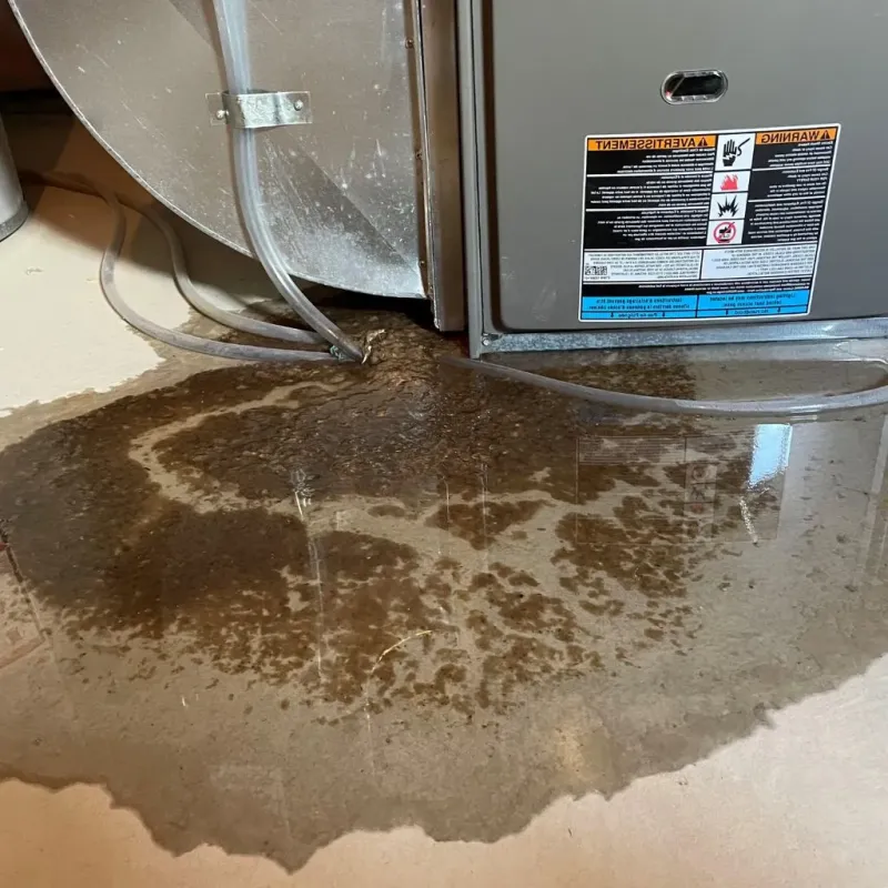 Pipe Burst and Leak Restoration in Quantico Station, VA