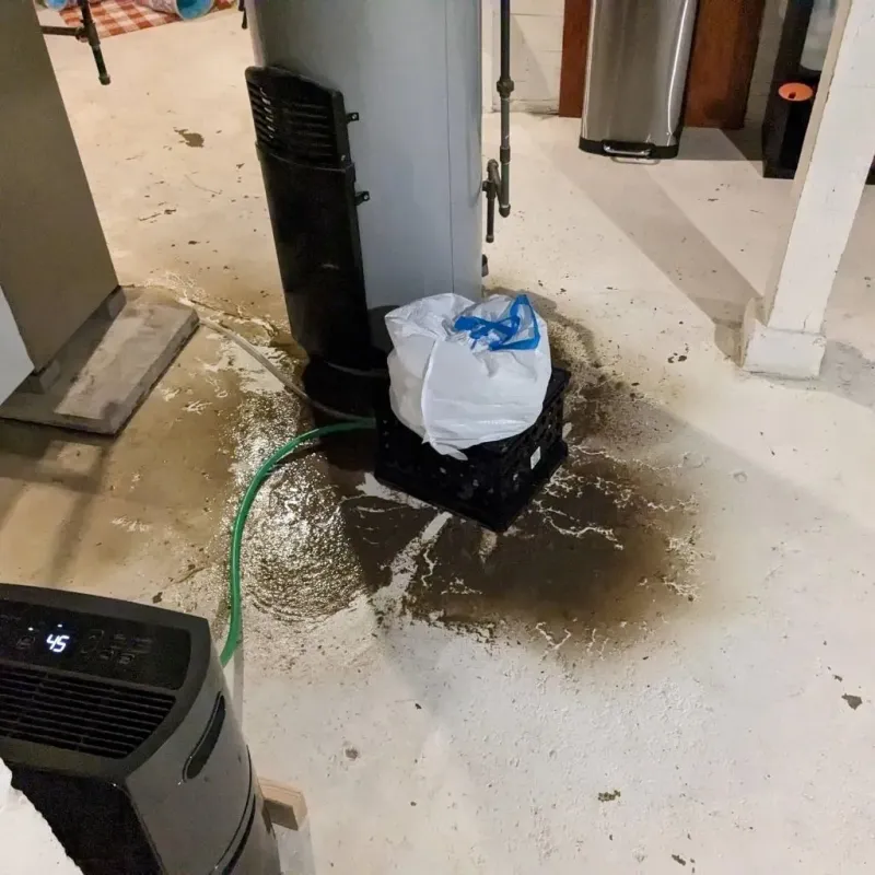 Sewage Backup Cleanup Service in Quantico Station, VA